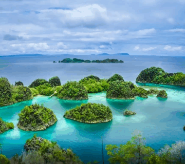 Rajaampat 360x320